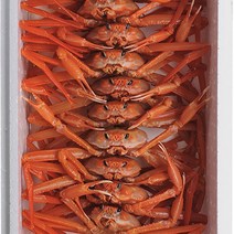 속이꽉찬 자연산 자숙 홍게 3kg 10-12마리