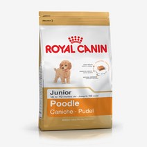 로얄캐닌 푸들 주니어 애견사료, 1개, 1개