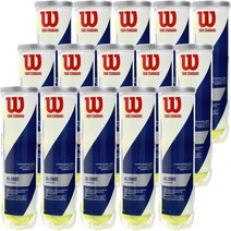 윌슨 테니스공 WRT103800 15캔 60공, 1개