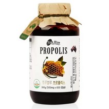 트루블루 프로폴리스 500mg x 600캡슐 코스트코, 상세페이지 참조, 상세페이지 참조