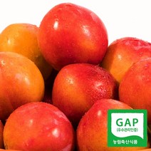 경북의성 노지 자두 2kg(1kgx2팩)/도담(대과)