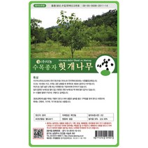 헛개나무씨앗 500g, 상세 설명 참조