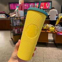 스타벅스 지압텀블러 하와이 710ml, B