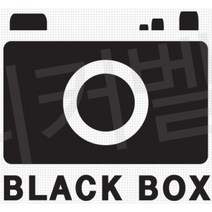 블랙박스 녹화중 스티커 데칼 자동차 차량 더뉴쏘렌토 투싼 SM5 NX4 QM3 쏘나타DN8 포터 k5 캐스퍼 컨트리맨 튜닝 K7 올뉴K9 레이 K5DL3 싼타페TM KA4, 오렌지, 색상