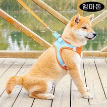 ANYOU 고양이 전용 가슴줄 산책줄 목줄 하네스 강아지하네스 고양이목줄 고양이하네스, 가을겨울 스웨이드-오렌지 세트