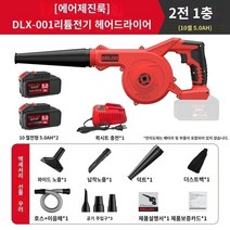 Delixi 리튬 배터리 송풍기 소형 가정용 그을음 고출력 충전식 산업용 헤어 드라이어 무선 집진기, 5. 리튬 헤어드라이어 5.0 배터리 2개   공기 주