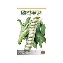 (DN) 작두콩 씨앗(5립)