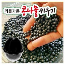 콩나물 재배기 키트, 콩나물 키우기 키트, 1개