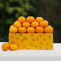 농부마음 새콤달콤 하우스 감귤 3kg(41-50과) 외피박스포장, 단품없음