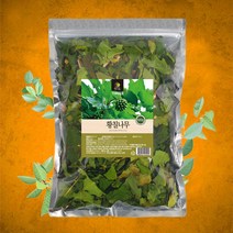 국산 황칠나무잎 건재 500g