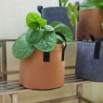 부직포 화분 베란다 텃밭 대파 키우기 2갤런 20x20 집에서대파키우기 베란다텃밭화분 플랜트박스 블루베, 2화분2갤런-그레이