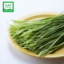 GAP인증 대상 받은 울산 명품 부추 500g
