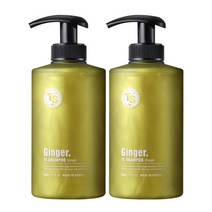 (당일출고) TS 진저 샴푸 500g 2개
