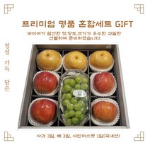 [롯데백화점]명품 과일 혼합 세트 백화점 바이어 선별 당도 높은 과일 선물세트 과일선물 과일세트 설선물 명품과일셋트 명품과일 추석사과선물세트 과일선물샤인머스켓 과일 사과선물세트, 1박스(프리미엄 혼합 선물세트)