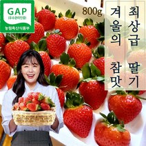딸기2kg 판매량 많은 상위 100개 상품 추천