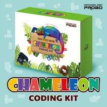 카멜레온 키트 / 코딩 키트 / 초등 코딩 / 코딩 게임 / 학습 교구, 1개