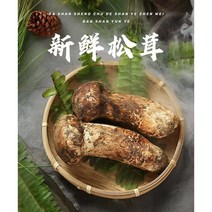 송이버섯, 1박스, 550g(C급)