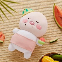 카카오프렌즈 초록방학 낮잠 필로우 인형 수박 어피치