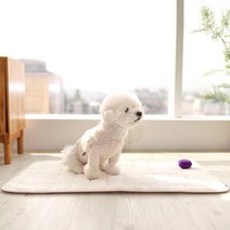 플레이바우 크림 강아지 방석