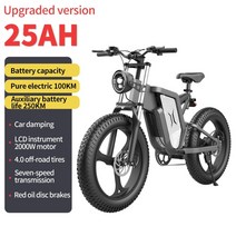 전동자전거 전기자전거 2000w 20 인치 지방 비치 크루저 ebike 48v 30ah, 2000w-25ah