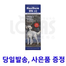 맥시덤 237ml 강아지 고양이 피부영양제 오늘발송. 사은품증정, 강아지용품