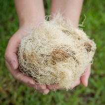 신토불이 국산 약초 옥발(옥수수수염) 200g, 13YC_국산옥발(옥수수수염)200g