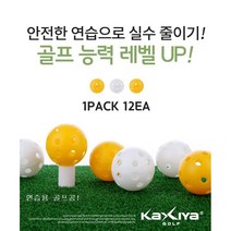 연습용 골프공 플라스틱 구멍공 (12개입), 화이트