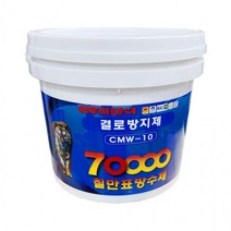 LF얼룩 천장 창틀 곰팡이방지 결로방지제 방수제 4kg 곰팡이제거제 실크벽지곰팡이제거법 텐트곰팡이제거 장판 창문실리콘 한번애 항균제 방곰팡이제거, 결로방지제4kg-(1개)