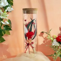 라알레그리아 특별한 편지지 세트 꽃 LED 특이한 유리병편지 생일 크리스마스 선물 여자친구 결혼 100일 기념일 감동 이벤트 행사 명절 추천 홈파티, 레드 카네이션 (프리저브드), 1세트