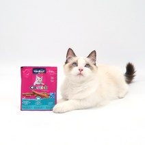 [비타크래프트연어] 고양이간식 기호성 좋은 맛있는 고양이 영양간식 비타크래프트 캣스틱 연어 오메가3, 20개