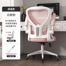 초등학생 공부 의자 인체공학 편안한 가정용 중학생 사무실 서울대 강남 청담동, 기본2