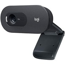 로지텍 웹캠 c505 hd 720p 자동 광 보정 장거리 마이크 6.6피트(2m) 길이의 USB 연결 케이블 웹 카메라 줌, 단품