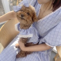 (DOG) 로이 상큼 체크 나시 커플룩 원피스 나시 여름 강아지 견주 시밀러룩, 2XL, 베이지, (DOG) 로이상큼체크나시