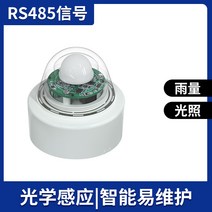 강우량 센서 게이지 관측소 측정기 레인 우설 강수량 측정 우량 농업용 기상 비 눈, RS485 옵티컬 레인 + 20w 라이트