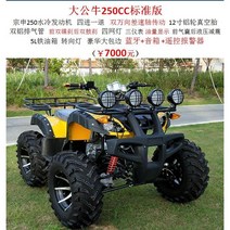 ATV 4륜 오프로드 오토바이 구동 범용 변속기 가솔린 전기, BigBull250수냉식스탠다드에디션