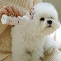 오너스 이어클렌저 귀세정제 120ml