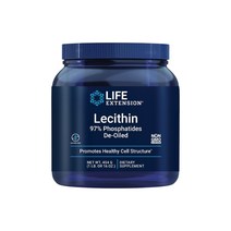 라이프 익스텐션 레시틴 파우더 16oz 454g Life Extension Lecithin 인지질 콜린 이노시톨 고약사 약들약