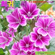 (꽃씨) 팝플러스 당아욱 10립