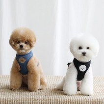 [카민프로젝트] 반려동물 베베 하네스 모음주문제작, BLACK/L