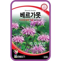 주주씨앗 베르가못 꽃 씨앗 300립 / 다년생 벨가못 종자 버가못 미국박하 조경가꾸기 홈가드닝