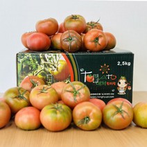 산지직송 짭짤한 부산 대저 토마토 대과 L 2.5kg