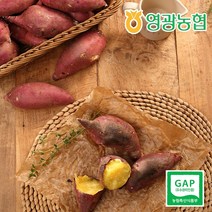 [영광농협] 22년 햇 꿀청고구마 맛있는 꿀고구마 5kg (특), 1개