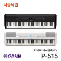 YAMAHA PKBAG 케이스, 야마하 PKBAG-61