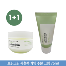 브링그린 사철쑥 카밍 수분 크림 1+1 한정기획