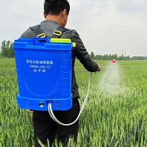 리튬 충전분무기 전동 농약분무기 살포기 20L (전동 자동 압축 제초제 살충제 방제 방역 배낭식 배부식), 손잡이 압력조절 방식(리튬 16A)