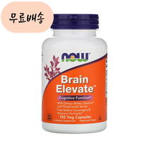 나우푸드 Brain Elevate 120배지개 엔자임 은행나무, 1개, 120개