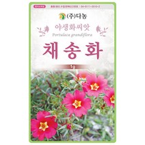 기생초 1.5g - 야생화 씨앗 꽃씨 씨 꽃씨앗 기생초씨앗 기생초씨 다년생꽃씨 여러해살이 야생화씨 야생화씨앗 꽃, 35_다농_채송화(1g)