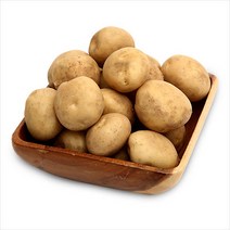 햇살조은 23년 햇 감자, 감자10kg(대), 1개