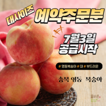 23년 충북 영동 햇 부드러운 복숭아 대 2kg 4kg, 대 9~11입 2KG, 1개
