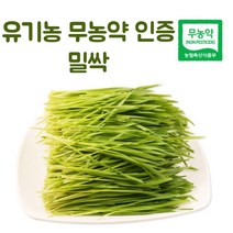 국산 국내산 무농약 밀싹 밀순 밀새싹 주스 녹즙 생즙 클렌즈 쥬스 새싹 야채즙 재료 600g 싹 순 밀순 어린잎 어린 새싹순 채소